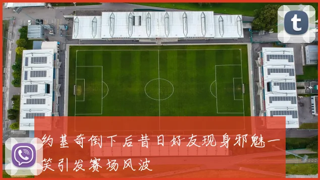 约基奇倒下后昔日好友现身邪魅一笑引发赛场风波