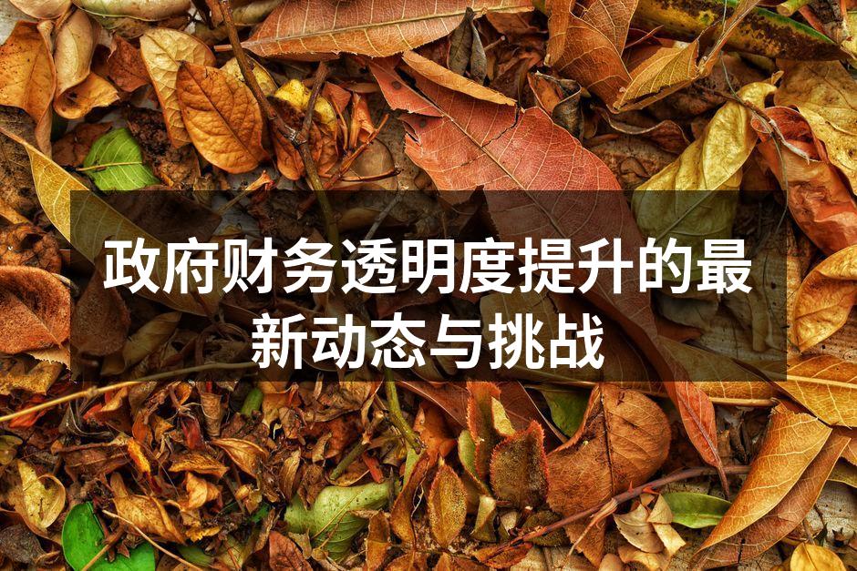 政府财务透明度提升的最新动态与挑战