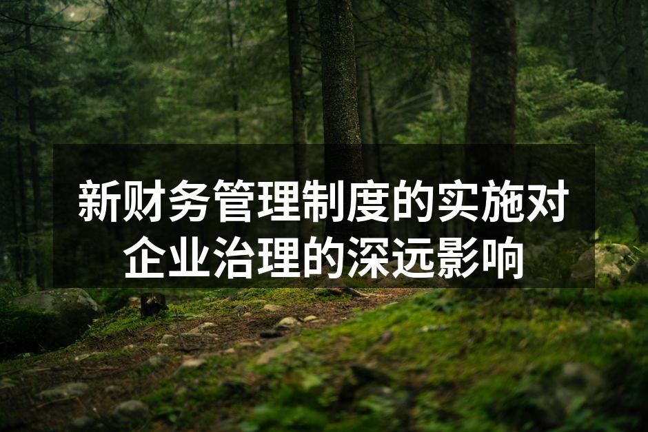新财务管理制度的实施对企业治理的深远影响