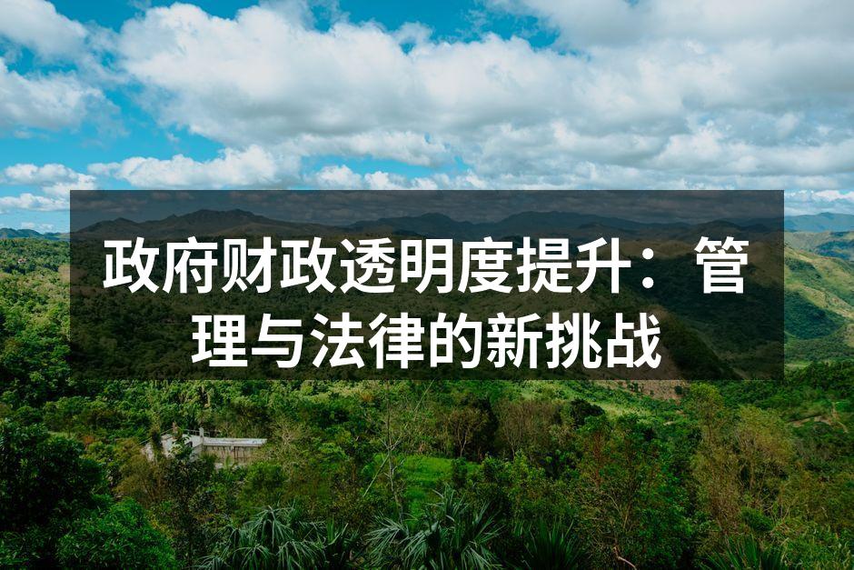 政府财政透明度提升：管理与法律的新挑战