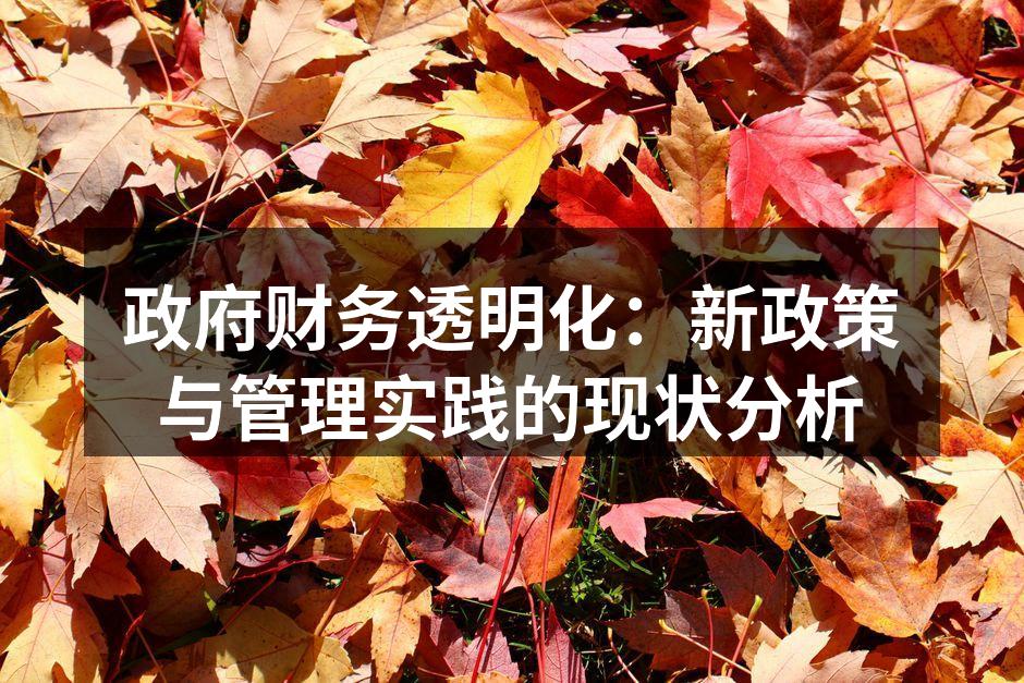 政府财务透明化：新政策与管理实践的现状分